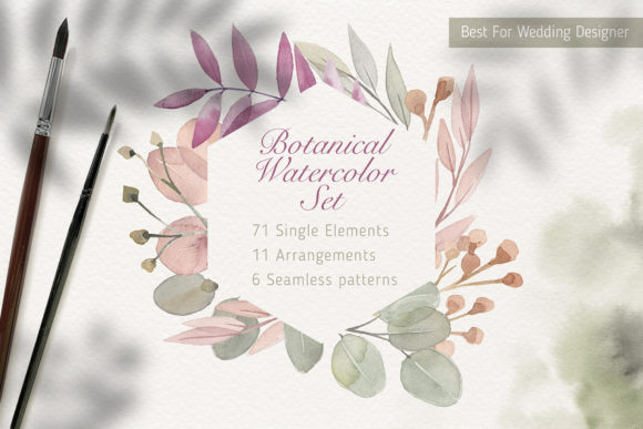 Botanical Harmonious Watercolor Set: A Practical Evaluation for Designers