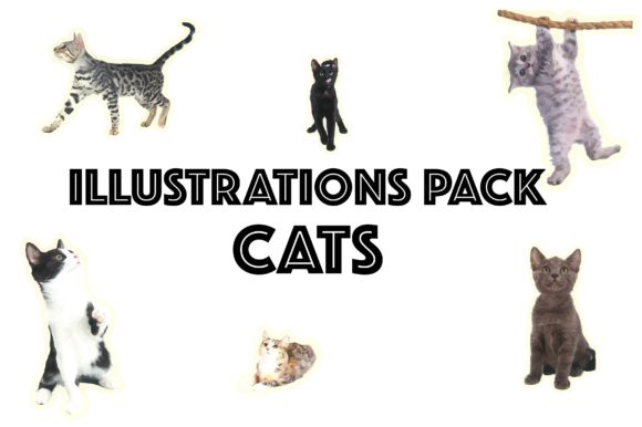 Illustration Pack Cats: A Practical Review of Realistic Feline Assets