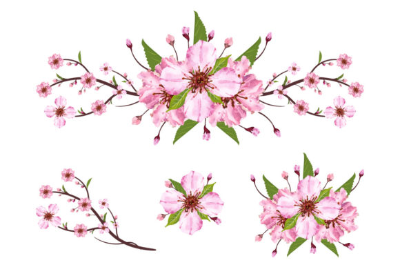 Sakura Cherry Blossom Branch: A Guide to Artistic Inspiration