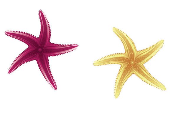 Starfishes