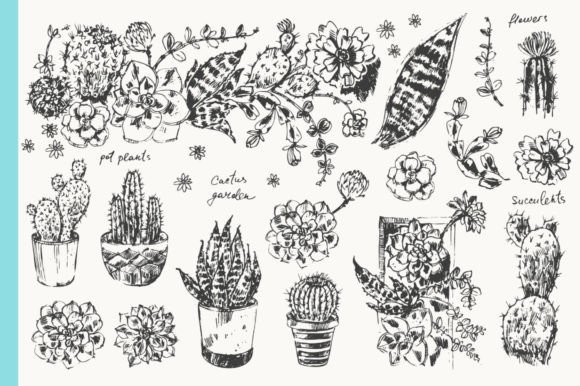 Succulent Plants Sketch Set