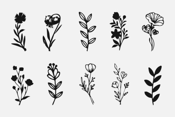 The Art of Simplicity: Exploring Flowers and Plant Line Art Illustration in Modern Design