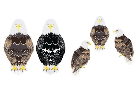 The Majestic Appeal of Stylized Bald Eagle Decorative Design Illustrations